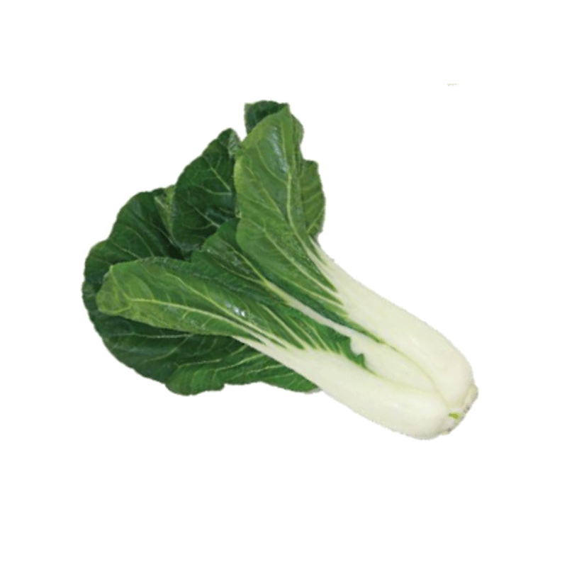 Bok Choy