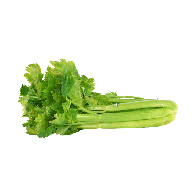 Celery