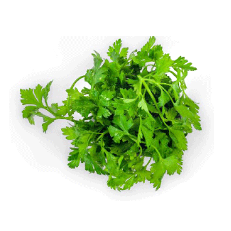 Italian Parsley