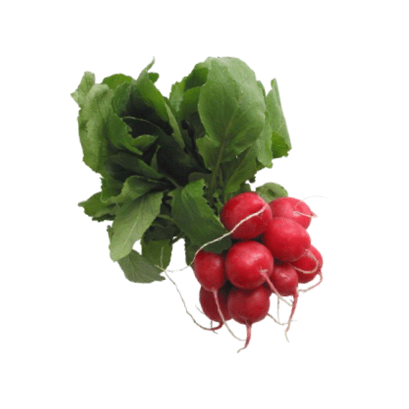 Radishes