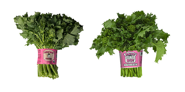 Broccoli Rabe Andy Boy,High Efficiency Washer And Dryer