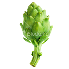 artichoke