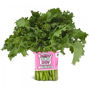 rappini-broccoli-rabe-andy-boy