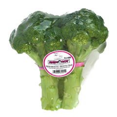 broccoli-andy-boy