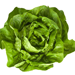 butter-leaf-head