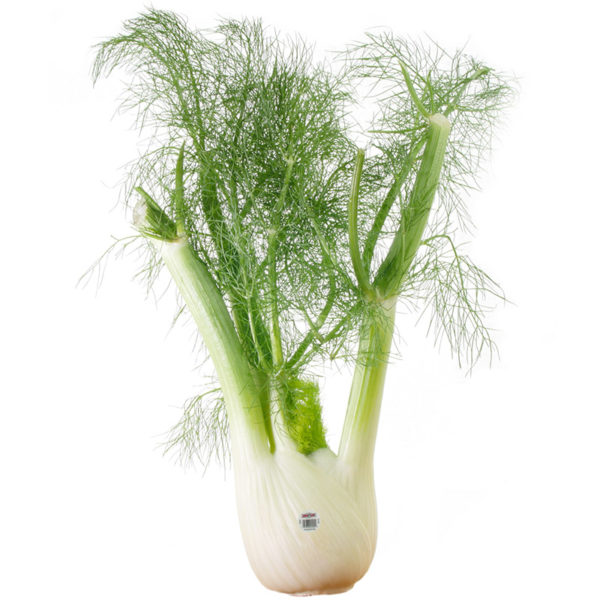 fennel-anise