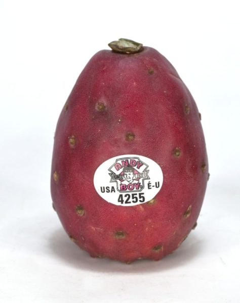 poire-cactus