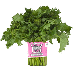 broccoli-rabe-andy-boy
