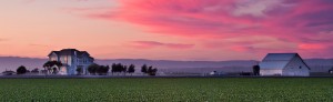darrigo-ranch-at-sunset