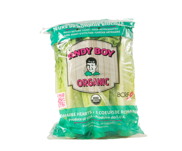 organic-heart-12-3-andy-boy