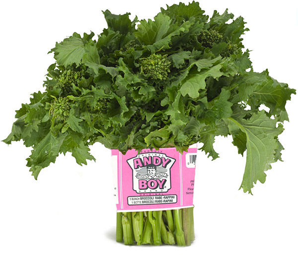 broccoli-rabe-andy-boy