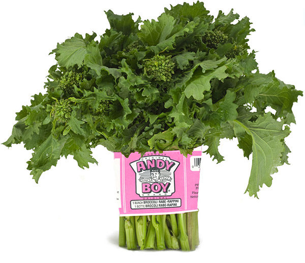 brocoli-rave-andy-boy