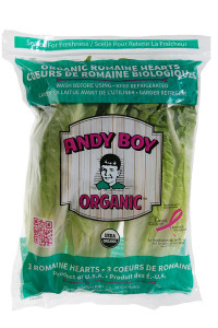 andy-boy-organic-hearts-bag