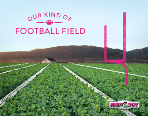 andyboy-superbowl-broccoli-rabe-field