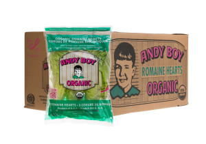 andy-boy-romaine-hearts-organic