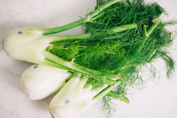 fennel-darrigo