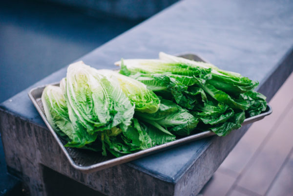 Grilled Romaine Hearts with Lemon Yogurt Dressing