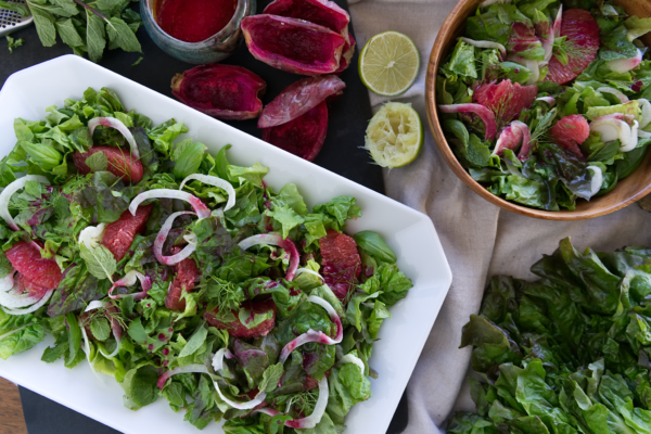 cactus-pear-vinaigrette-fennel-salad