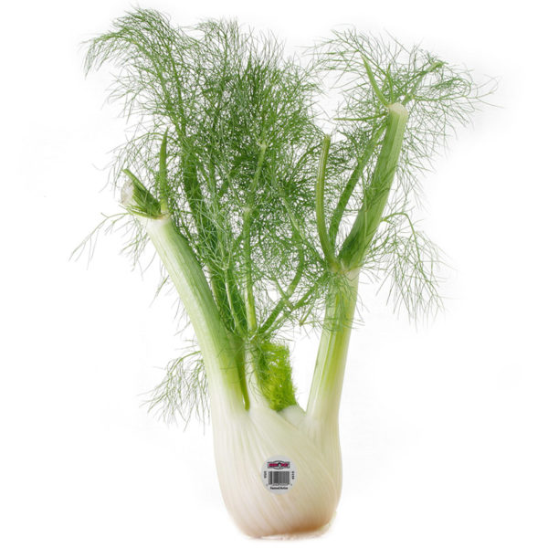 andy-boy-fennel