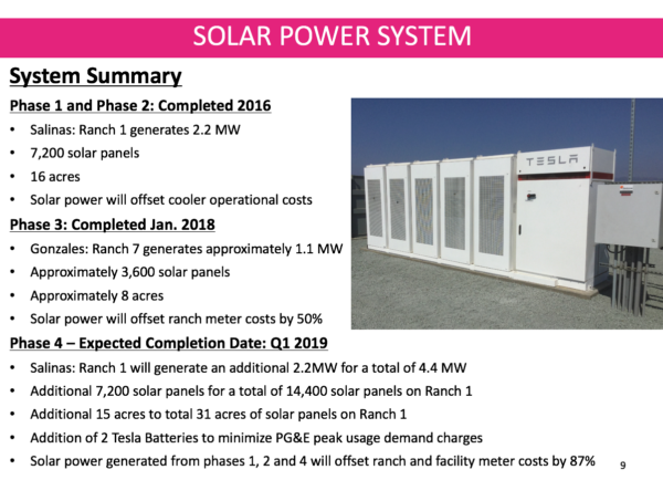 batterie-solaire-tesla-chez-D’arrigo