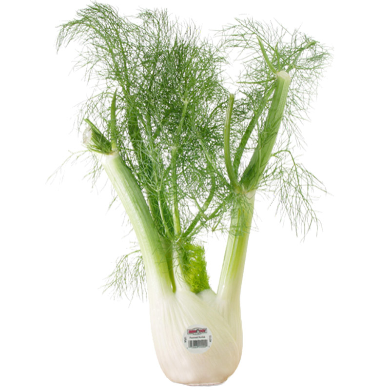 Fennel