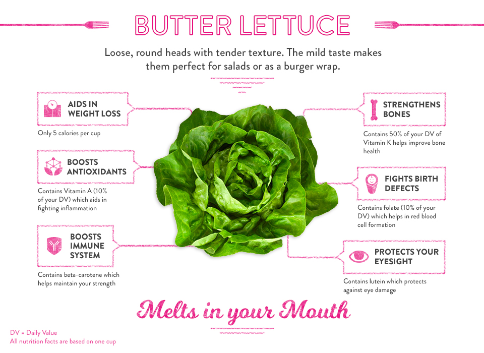 AB-Infografía-lechuga-silvestre