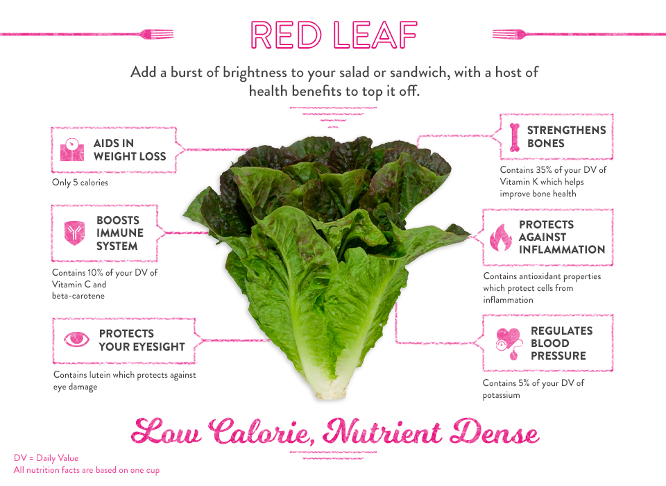 romaine lettuce nutritional value