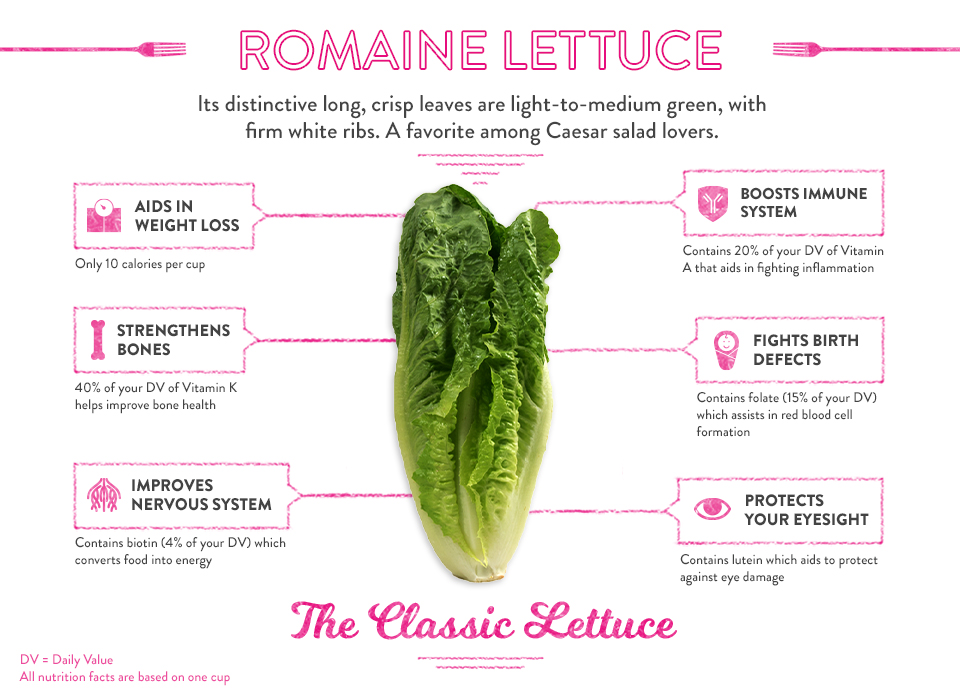 romaine lettuce nutritional value