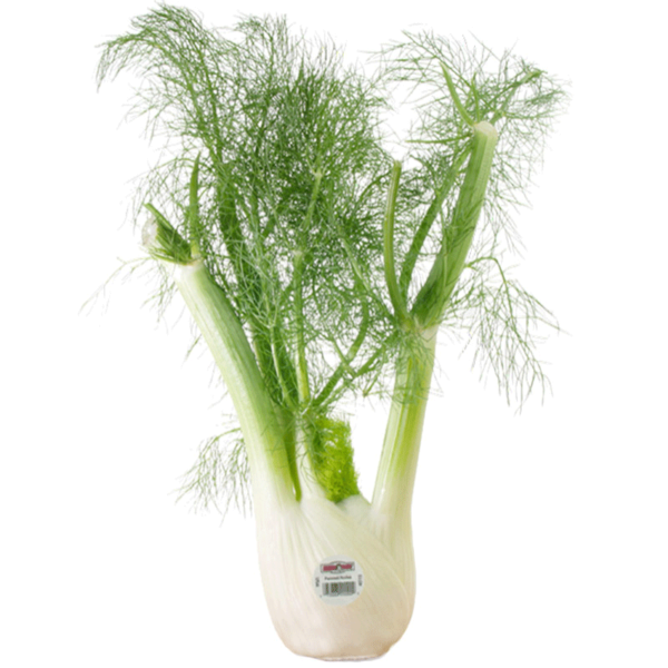 Fennel-800x800