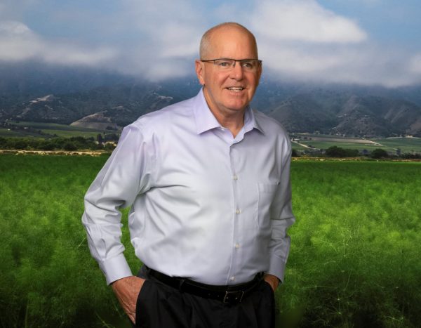 John D'Arrigo in Fennel Field