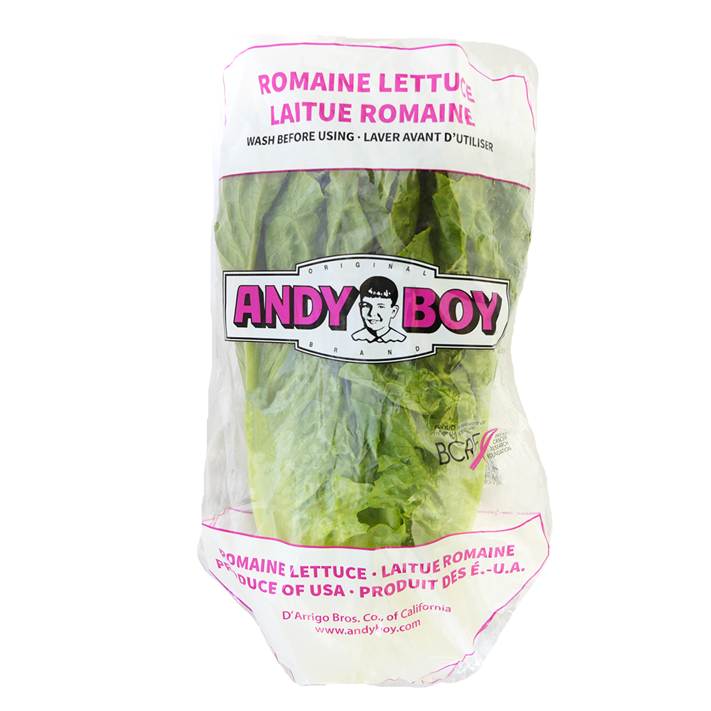 Romaine Lettuce